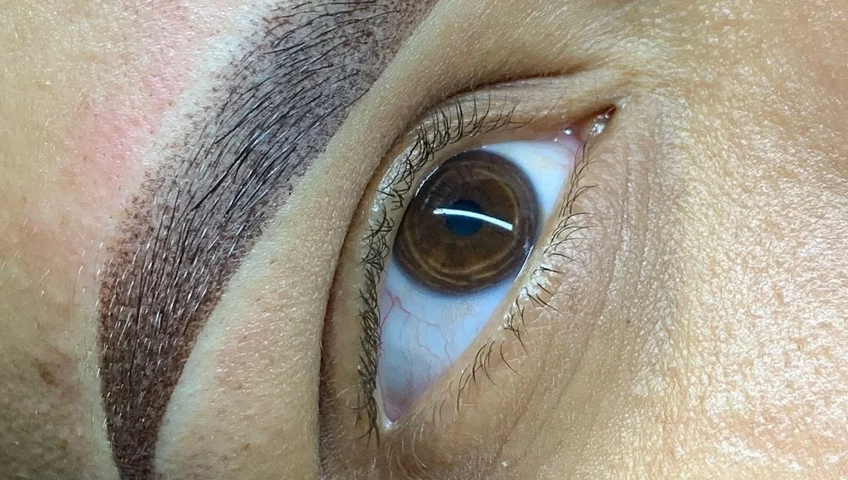 Brows by Eliza Pino