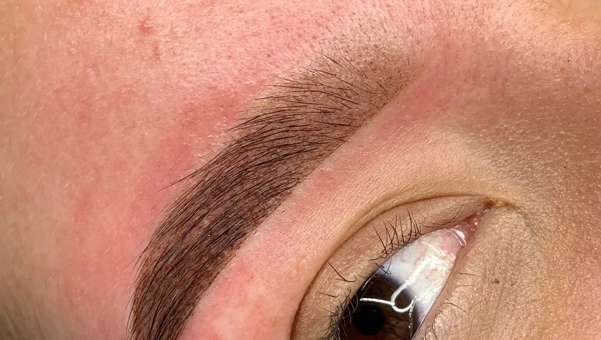 Brows by Eliza Pino